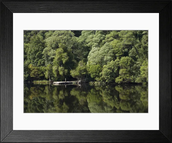 Framed Print : DDE-90025930 Framed Print : DDE-90025930