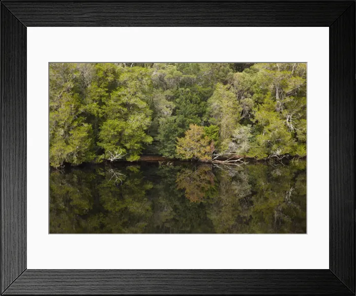 Framed Print : DDE-90025931