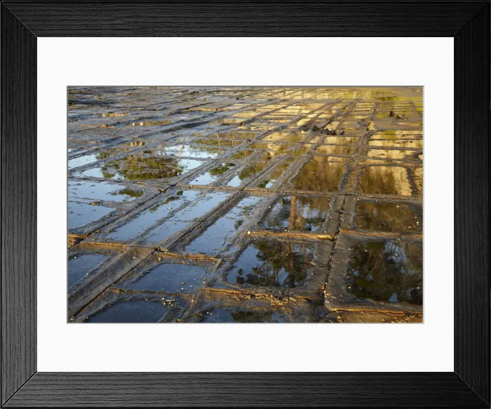 Framed Print : DDE-90025937 Framed Print : DDE-90025937