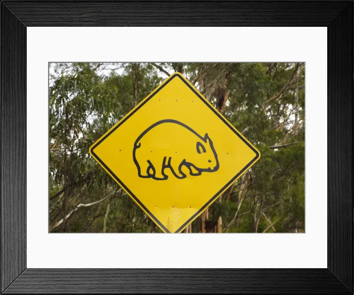Framed Print : DDE-90025945 Framed Print : DDE-90025945