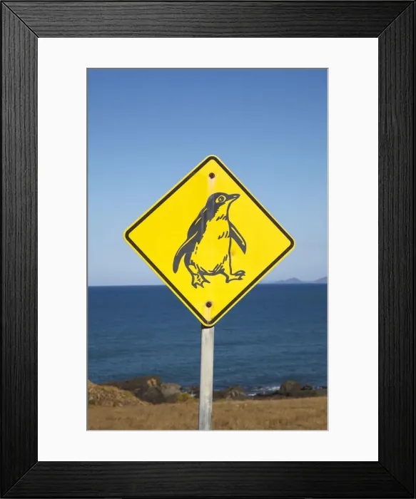 Framed Print : DDE-90025951 Framed Print : DDE-90025951