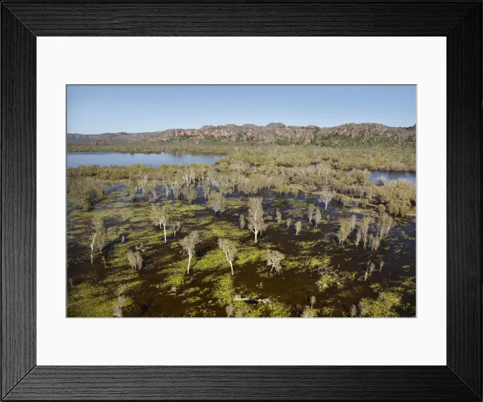 Framed Print : DDE-90025965 Framed Print : DDE-90025965