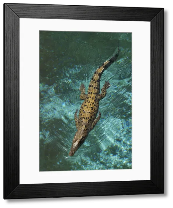 Framed Print : DDE-90025978 Framed Print : DDE-90025978