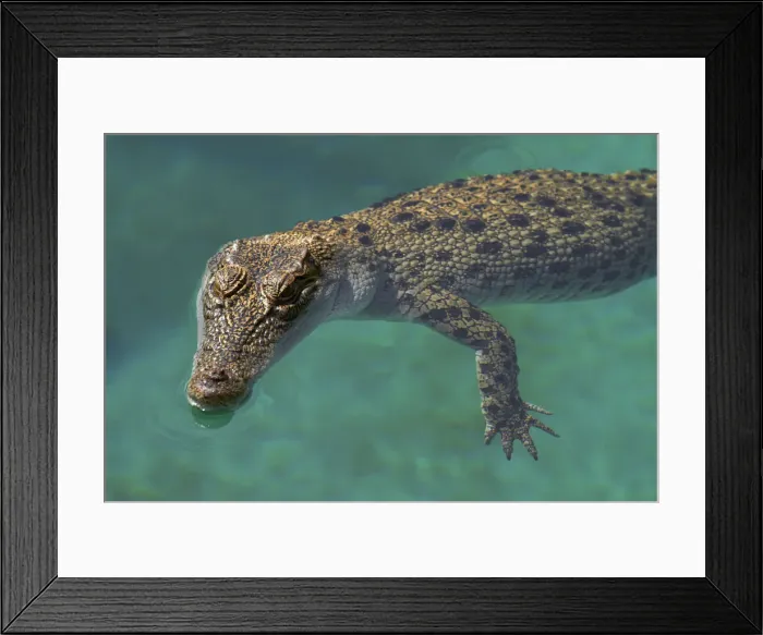 Framed Print : DDE-90025979 Framed Print : DDE-90025979