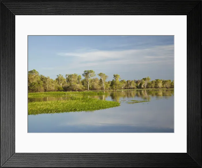 Framed Print : DDE-90025984 Framed Print : DDE-90025984