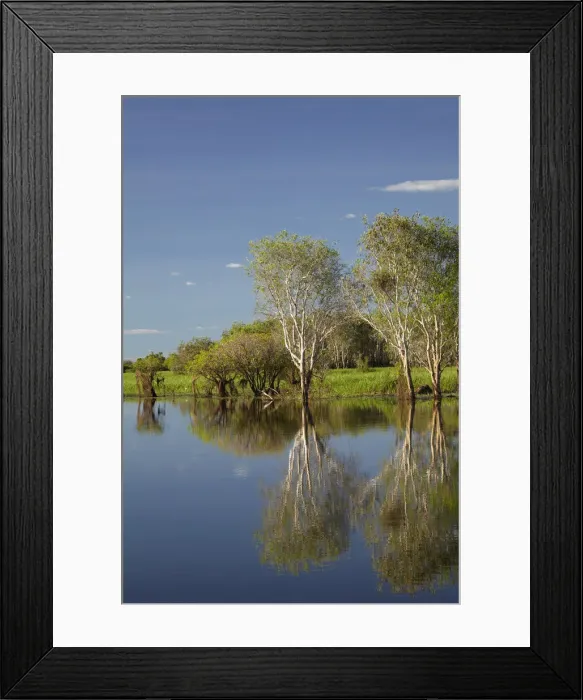Framed Print : DDE-90025983 Framed Print : DDE-90025983