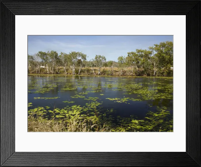 Framed Print : DDE-90025988 Framed Print : DDE-90025988