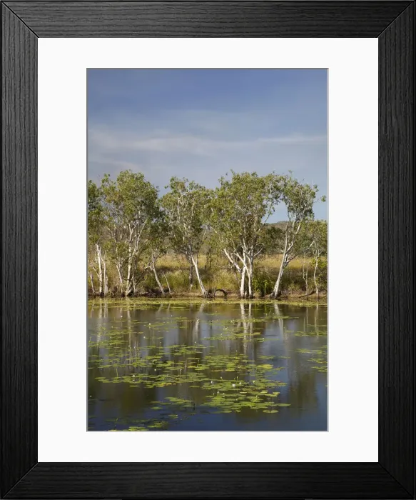 Framed Print : DDE-90025989 Framed Print : DDE-90025989