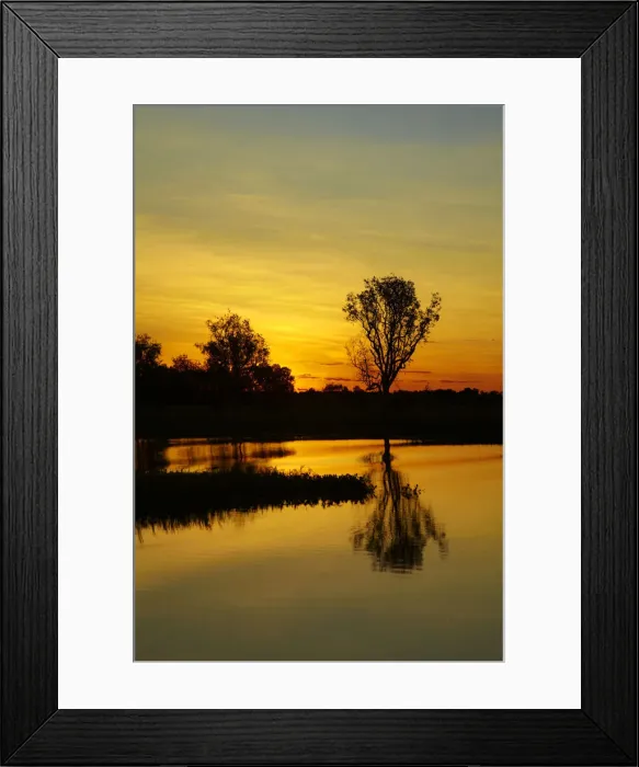 Framed Print : DDE-90025996 Framed Print : DDE-90025996