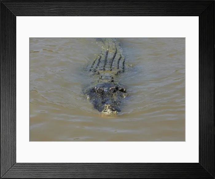 Framed Print : DDE-90026024 Framed Print : DDE-90026024