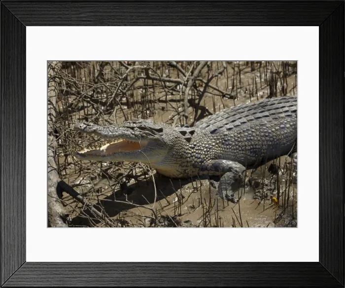 Framed Print : DDE-90026026 Framed Print : DDE-90026026