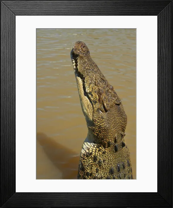 Framed Print : DDE-90026027 Framed Print : DDE-90026027