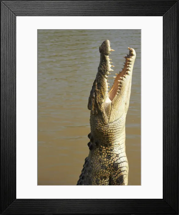 Framed Print : DDE-90026028 Framed Print : DDE-90026028