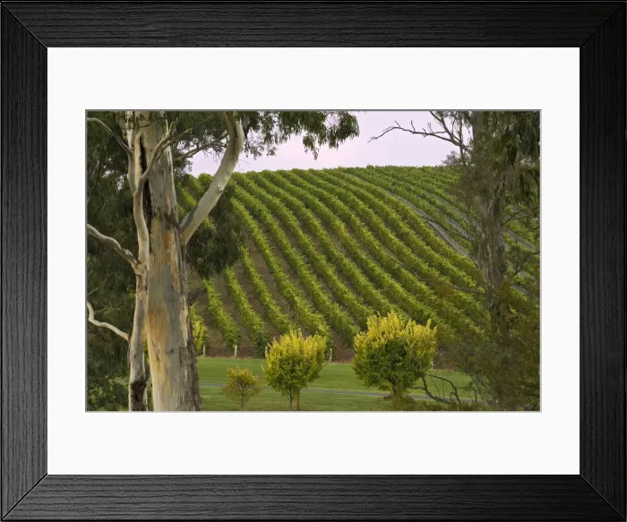 Framed Print : DDE-90026092 Framed Print : DDE-90026092