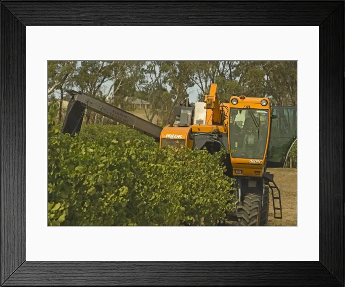 Framed Print : DDE-90026094 Framed Print : DDE-90026094