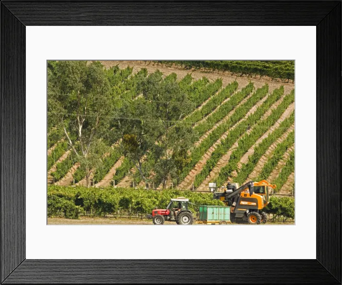 Framed Print : DDE-90026093 Framed Print : DDE-90026093