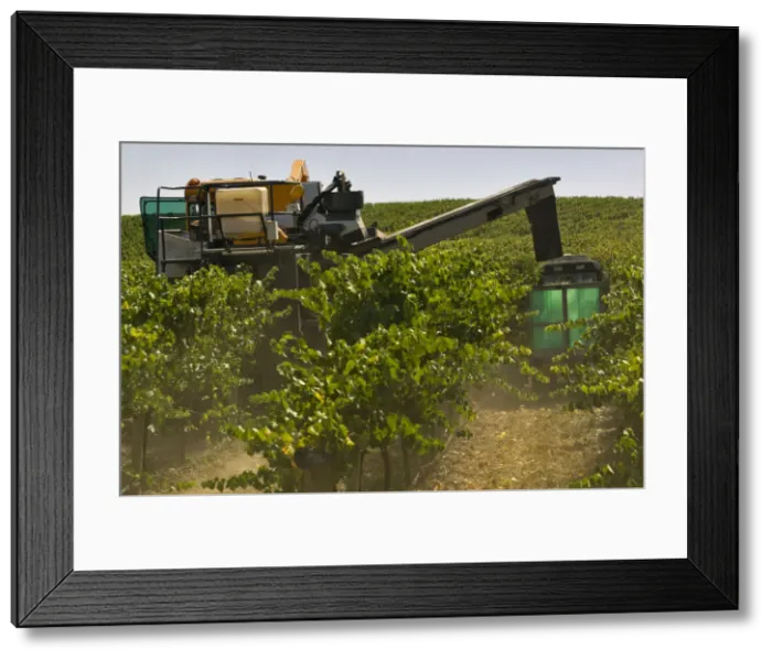 Framed Print : DDE-90026095 Framed Print : DDE-90026095