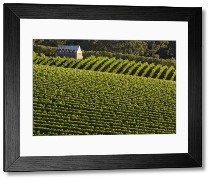 Framed Print : DDE-90026096 Framed Print : DDE-90026096