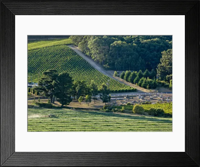 Framed Print : DDE-90026097 Framed Print : DDE-90026097