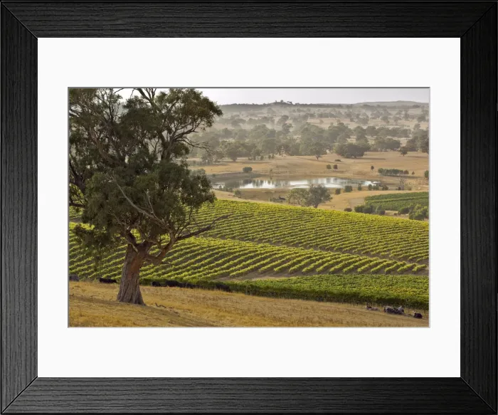 Framed Print : DDE-90026098 Framed Print : DDE-90026098