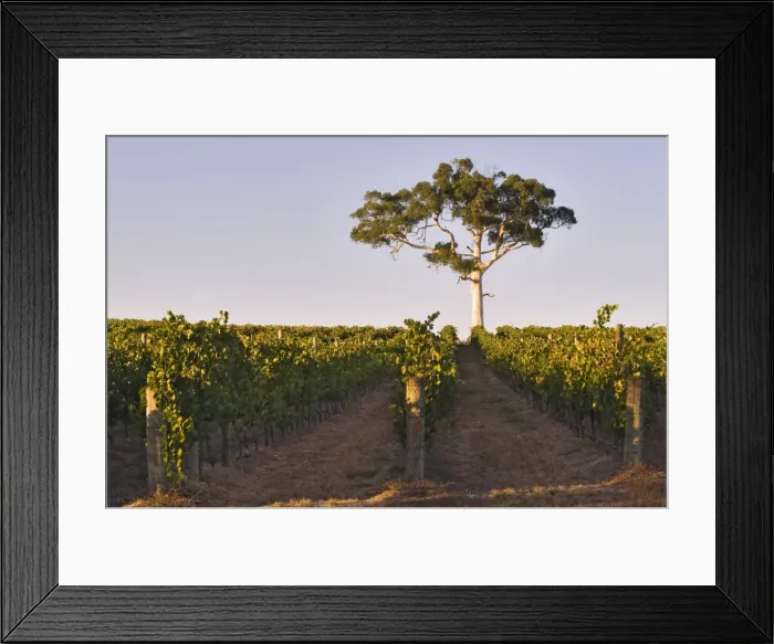 Framed Print : DDE-90026099