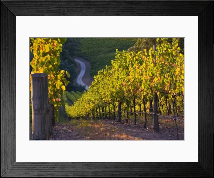 Framed Print : DDE-90026100 Framed Print : DDE-90026100