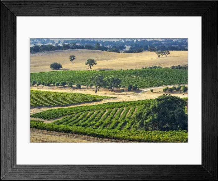 Framed Print : DDE-90026104 Framed Print : DDE-90026104