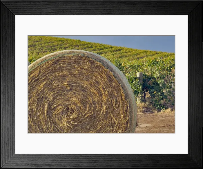 Framed Print : DDE-90026103 Framed Print : DDE-90026103
