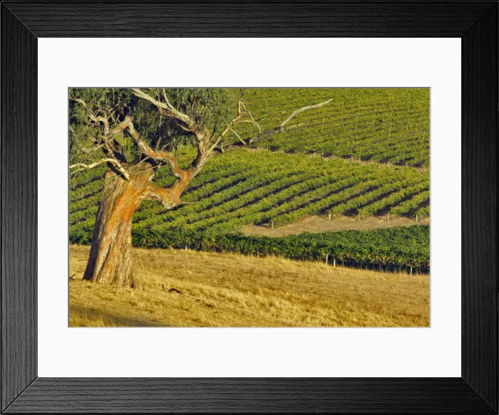 Framed Print : DDE-90026105 Framed Print : DDE-90026105