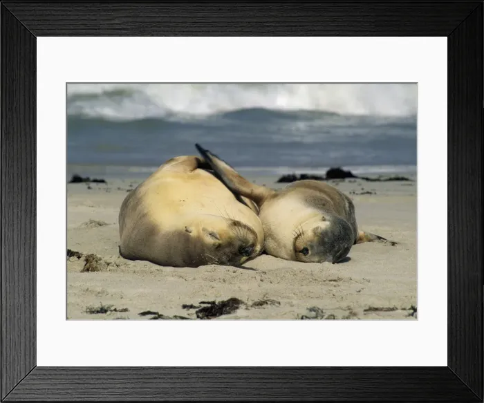 Framed Print : DDE-90026112 Framed Print : DDE-90026112