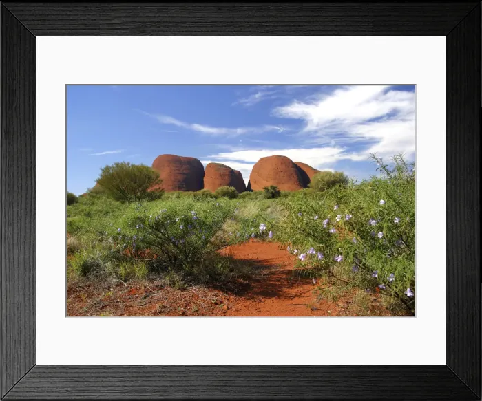 Framed Print : DDE-90026129 Framed Print : DDE-90026129