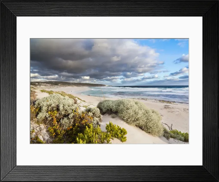 Framed Print : DDE-90026142 Framed Print : DDE-90026142