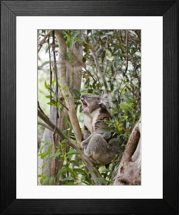 Framed Print : DDE-90026166 Framed Print : DDE-90026166