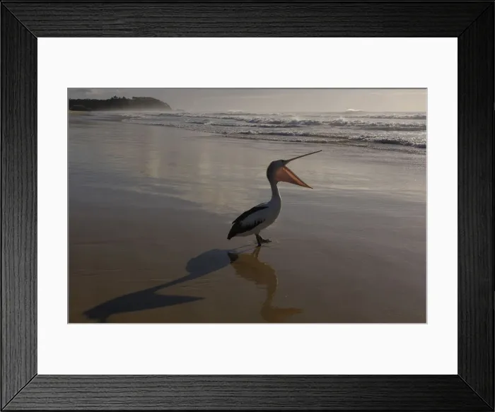 Framed Print : DDE-90026177 Framed Print : DDE-90026177