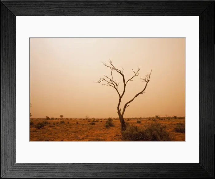 Framed Print : DDE-90026180 Framed Print : DDE-90026180