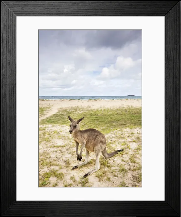 Framed Print : DDE-90026184 Framed Print : DDE-90026184
