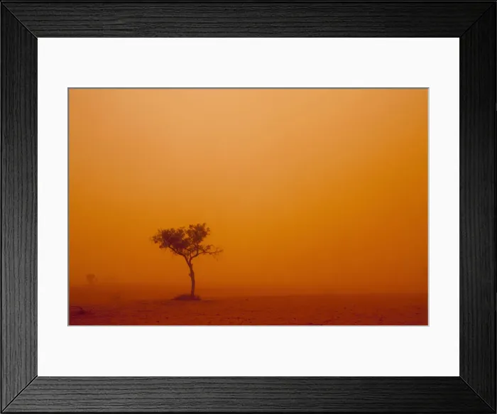Framed Print : DDE-90026182 Framed Print : DDE-90026182