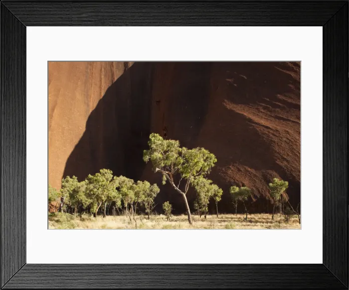 Framed Print : DDE-90026193