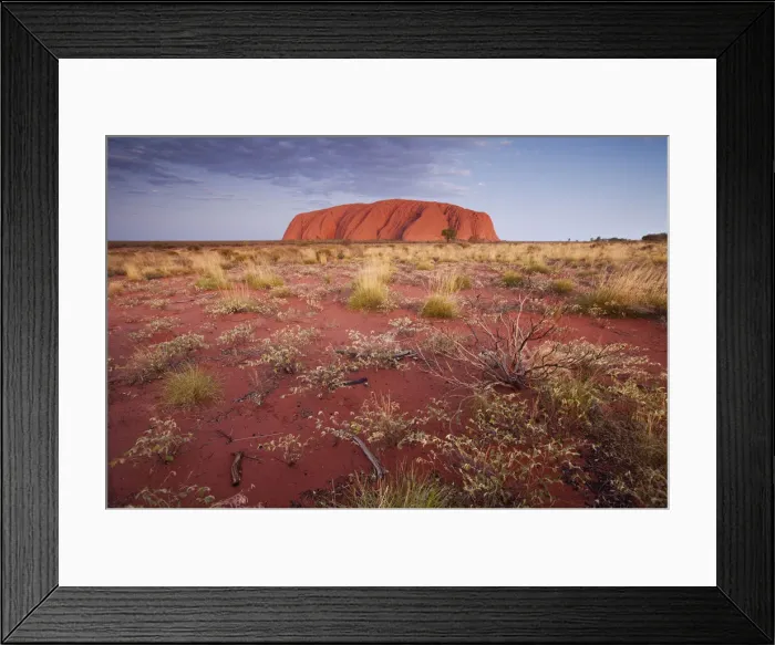 Framed Print : DDE-90026194 Framed Print : DDE-90026194