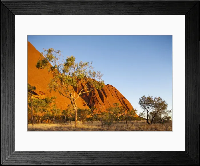 Framed Print : DDE-90026196 Framed Print : DDE-90026196