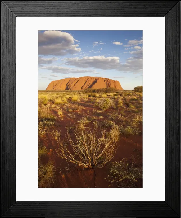 Framed Print : DDE-90026197 Framed Print : DDE-90026197