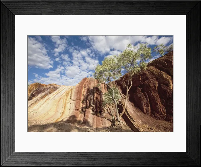 Framed Print : DDE-90026203 Framed Print : DDE-90026203