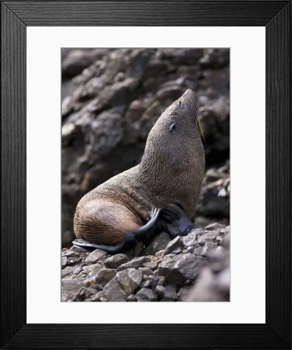 Framed Print : DDE-90026225