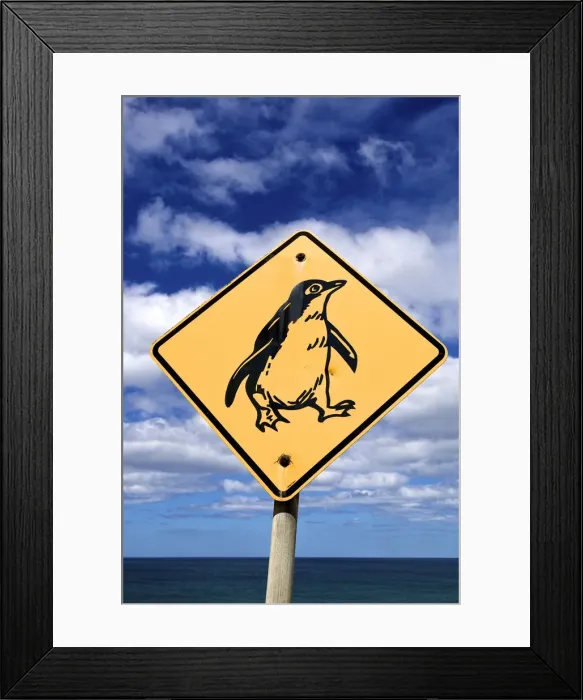 Framed Print : DDE-90026245 Framed Print : DDE-90026245