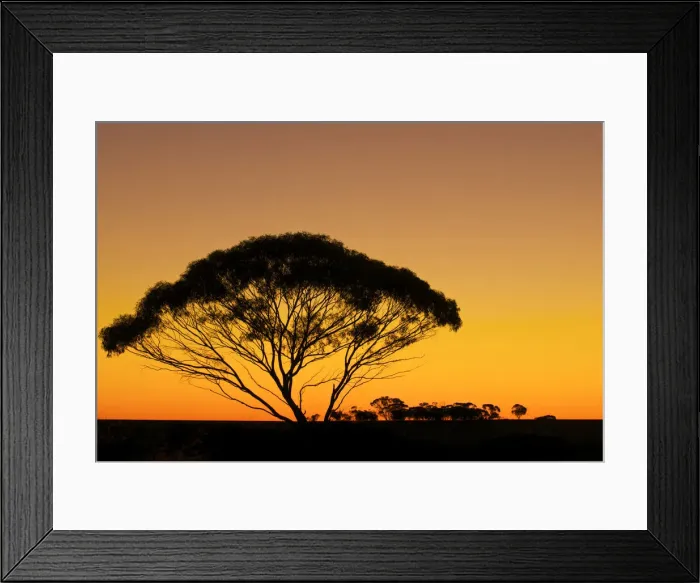 Framed Print : DDE-90026253 Framed Print : DDE-90026253
