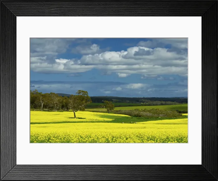 Framed Print : DDE-90026254 Framed Print : DDE-90026254