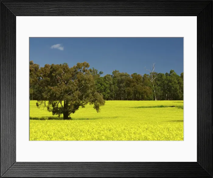 Framed Print : DDE-90026258 Framed Print : DDE-90026258