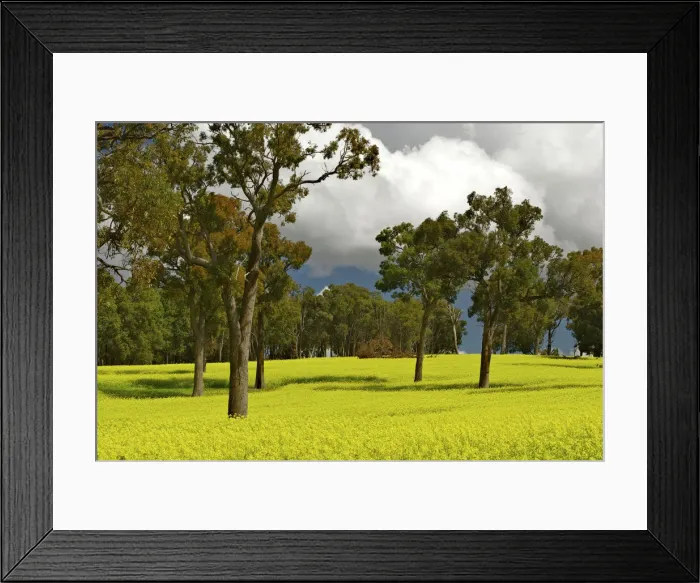 Framed Print : DDE-90026259