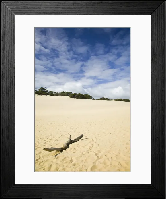 Framed Print : DDE-90026260 Framed Print : DDE-90026260