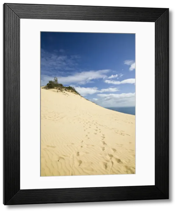 Framed Print : DDE-90026261 Framed Print : DDE-90026261